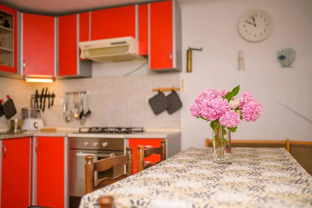 Vila House Casa Nori Ustrine 0*,