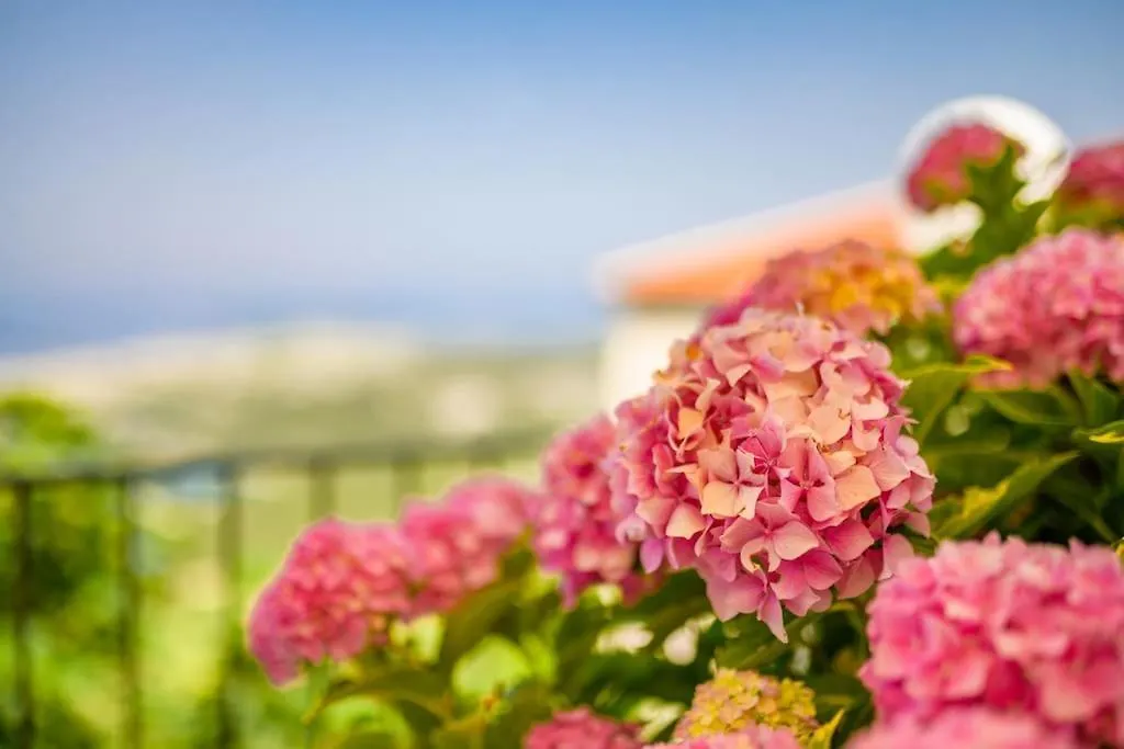 Holiday home House Casa Nori Villa Ustrine Croatia